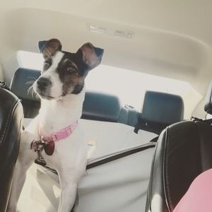 Meet your Posher, Bethany